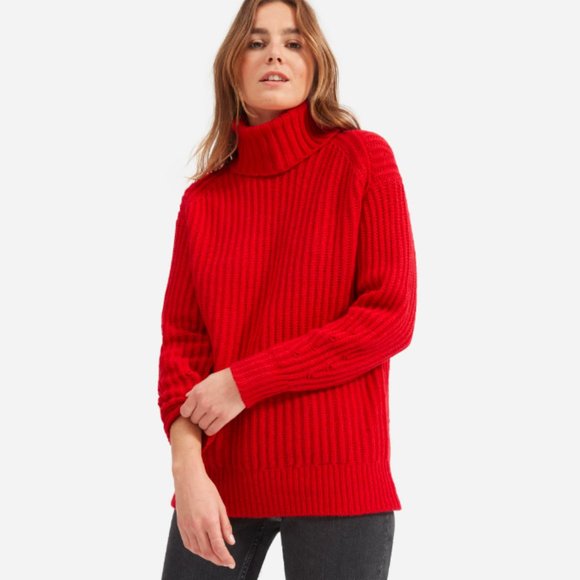 Everlane Sweaters - Everlane Wool Rib Turtleneck Sweater NEW